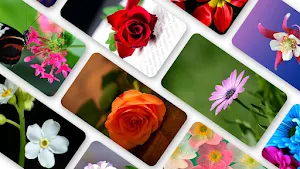 Flower Wallpaper 2023 Screenshot 0