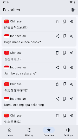 Chinese Indonesian Translator Screenshot 2