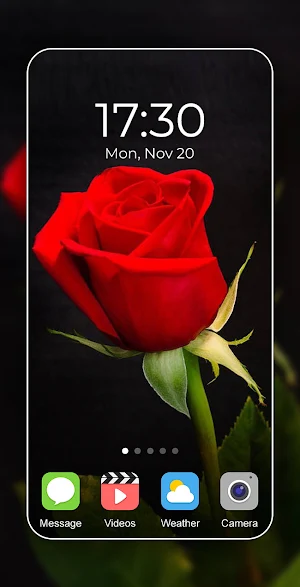 Rose Wallpaper 2024 Screenshot 3