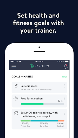 P3RFORM Screenshot 3