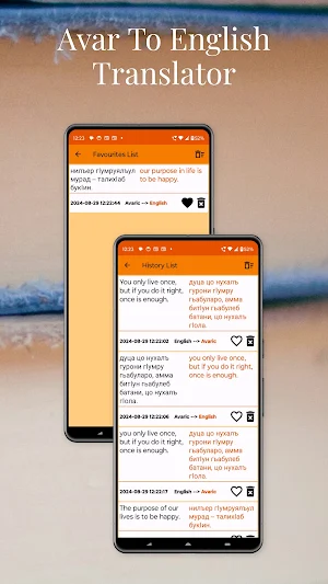 Avar To English Translator Screenshot 3