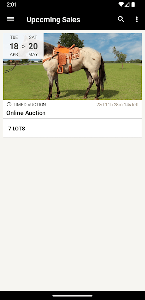 Southwest Horse Sale Company Screenshot 0