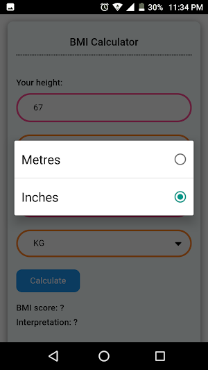 BMI Calculator Screenshot 2