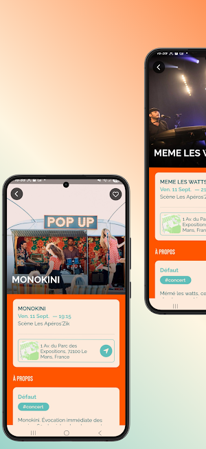 Foire du Mans Screenshot 1