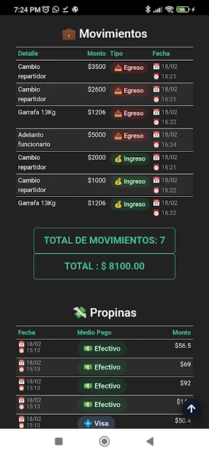 Delivery DS Screenshot 3