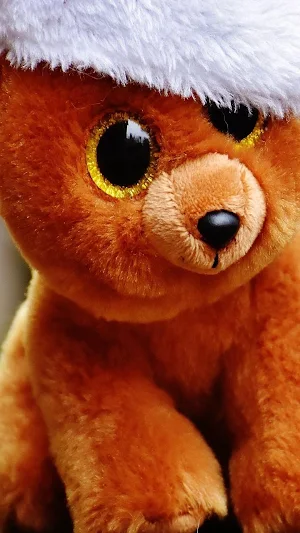 Teddy Wallpapers Screenshot 1