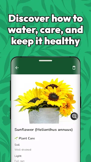 Plant Identifier - Botany Scan Screenshot 2
