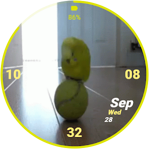 FURRY FRIENDS - BIRD Screenshot 1