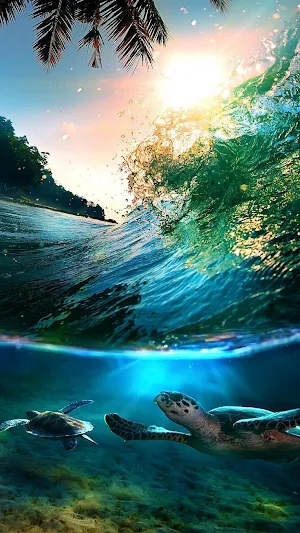 Sea Turtles Wallpapers Screenshot 0