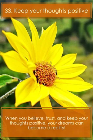 Floramations Oracle Cards Screenshot 1