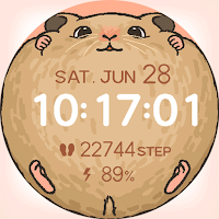 artifun.hamster.watchface
