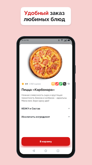 Биби Пицца Screenshot 0