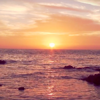 Beach Sunrise Live Wallpaper PRO