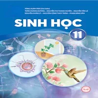 Sinh Học Lớp11
