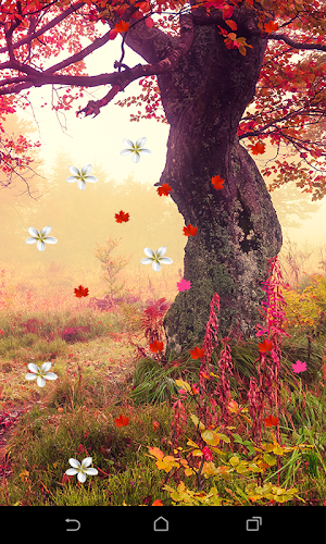 Garden Live Wallapaper Screenshot 3