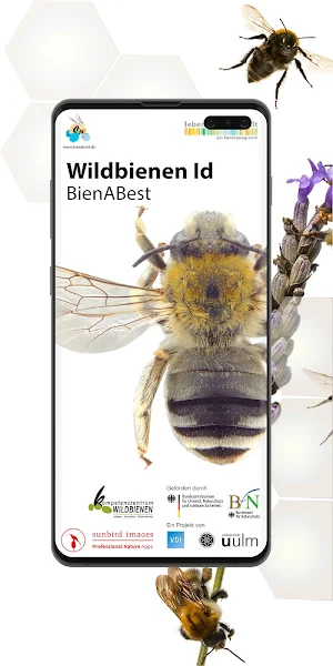 Wildbienen Id BienABest Screenshot 0