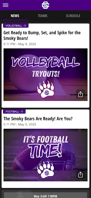 Sevier County Smoky Bears Screenshot 1