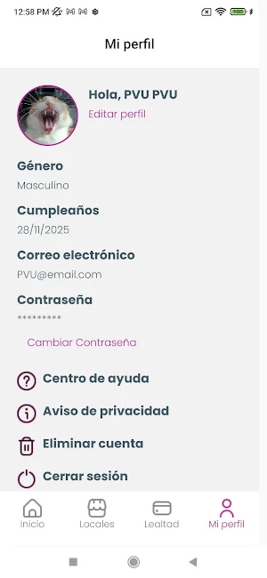 Sisivoy Screenshot 3