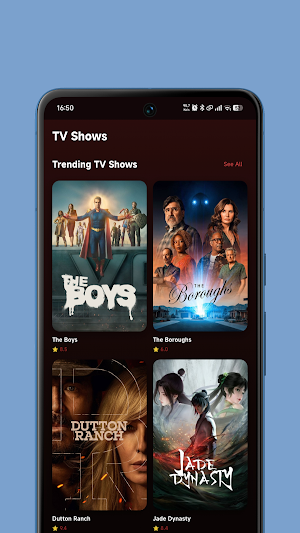 Braflix : Movies & Series Screenshot 3