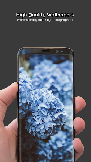 Spring Wallpapers 8K ULTRA Screenshot 1