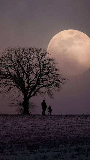 full moon wallpaper Screenshot 0