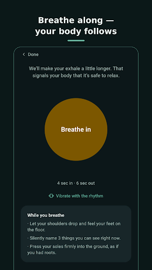 Karuma: Nervous System Calm Screenshot 3