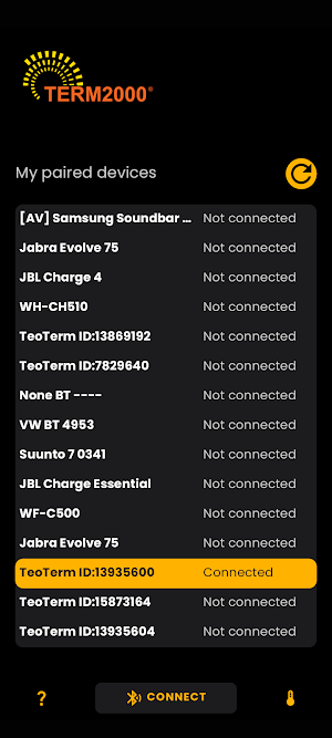 Term2000 Screenshot 0