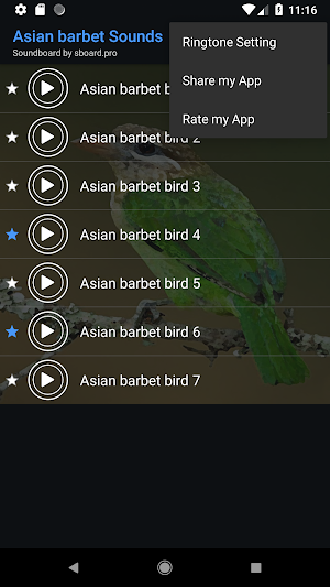 Asian barbet bird Sounds ~ Sboard.pro Screenshot 3