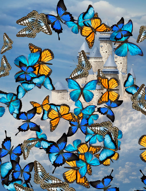 Butterflies App Screenshot 2