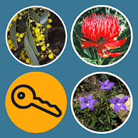Plants of South Eastern New South Wales