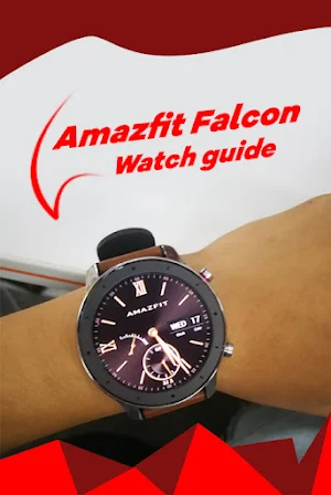 Guide: Amazfit Falcon Watch Screenshot 3
