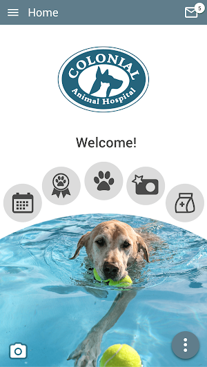 Colonial Animal Hospital Screenshot 0