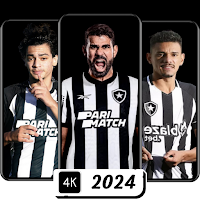 Botafogo Wallpaper 2024