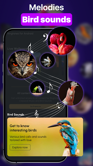 Ringtones Music & Wallpapers Screenshot 3