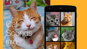 Meow Maker: Cat Sounds for Cat Screenshot 0