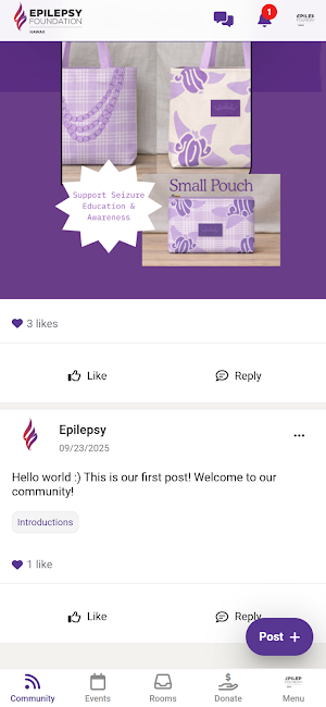 Epilepsy Foundation of Hawaii Screenshot 0