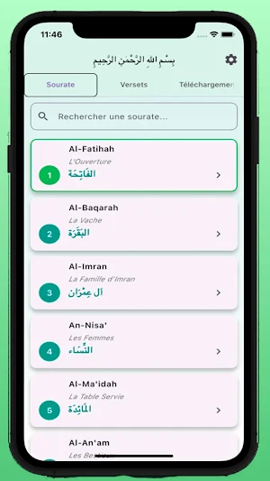 Coran Multilingue & Français Screenshot 0