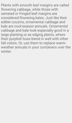 Ornamental Cabbage and Kale Screenshot 2