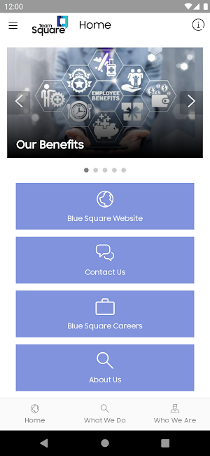 TeamSquare - Blue Square Screenshot 0