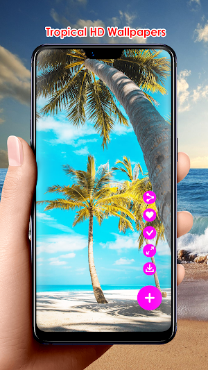 Tropical HD Wallpapers Screenshot 2