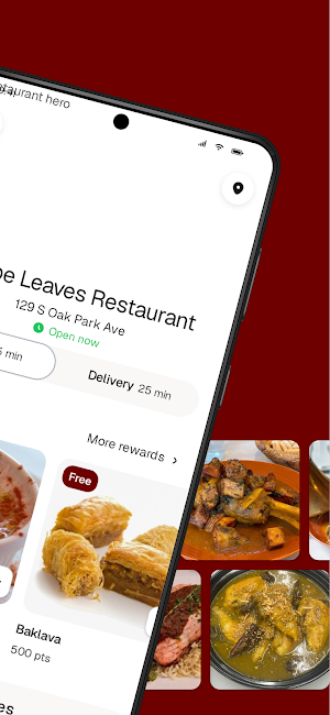 Grape Leaves Restaurant Screenshot 1