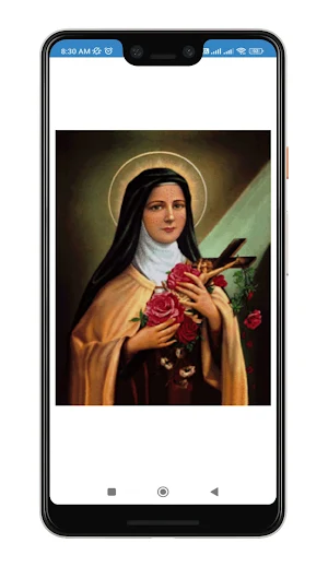 Santa Teresita del Niño Jesús Screenshot 0