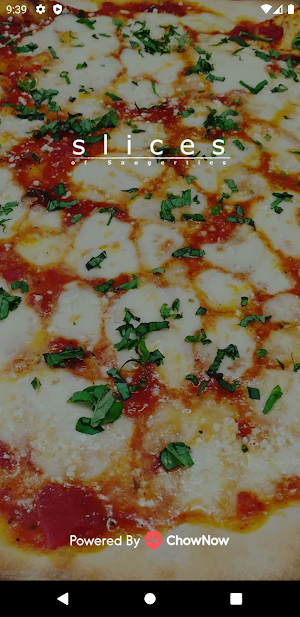 Slices of Saugerties Screenshot 0