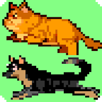 Cat and Dog Run on Screen