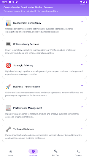 Lensbergas Consulting Screenshot 2