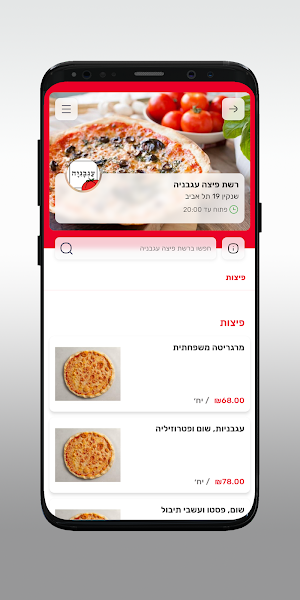 רשת פיצה עגבניה Screenshot 2