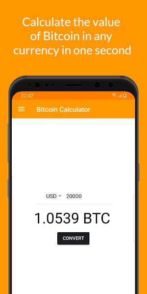 Bitcoin Calculator - Converter Screenshot 3