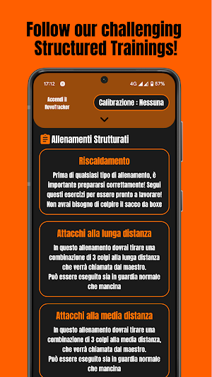 Boxing Revo Screenshot 3