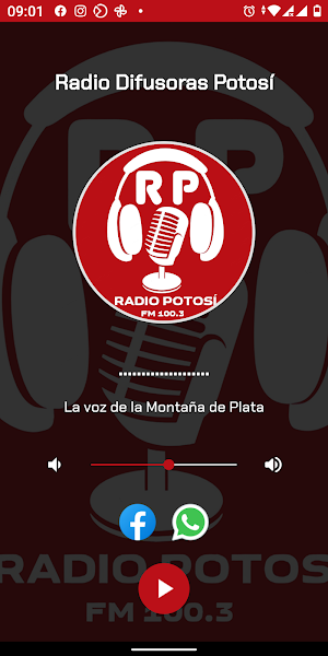 Radiodifusoras Potosí FM 100.3 Screenshot 0