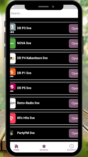 Denmark Radio Stations Screenshot 1